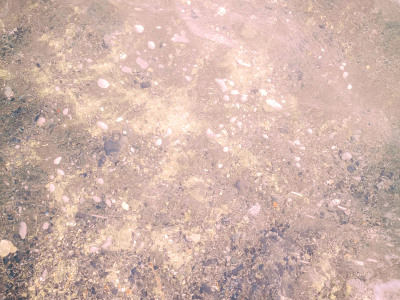 sparkly sea